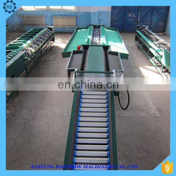 China high quality orange classify machine apple sorter machine fruit grading machine in fruit processing production line