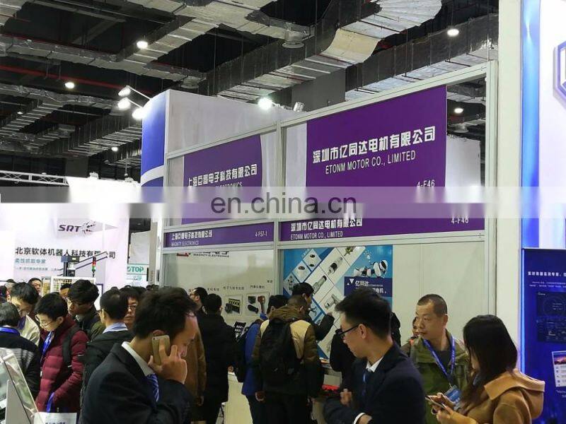 12v dc motor high torque 40kg for pig roasting oven