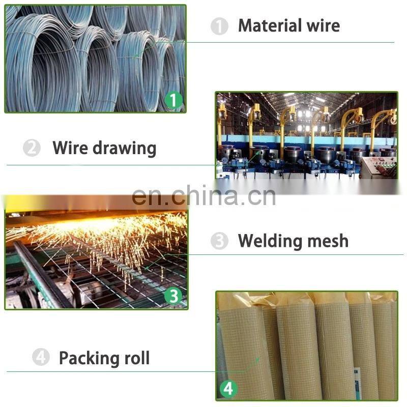 Wire Mesh Chicken Hexagonal Wire Mesh Hexagonal Wire Mesh Netting