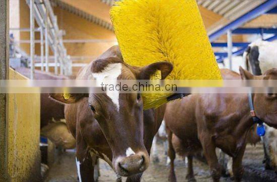 COW BRUSH