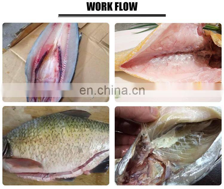 high quality fish scale removal machine from Elva