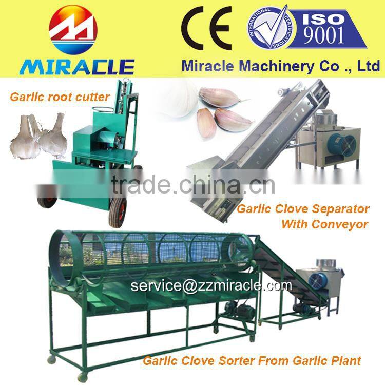 Garlic separator clove machines from fresh garlic processing line