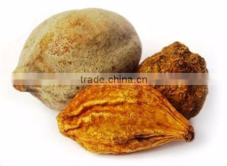 Pure Triphala Powder Bulk Exporter and Seller