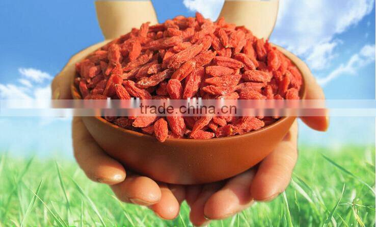 500grains/50g dried goji berry