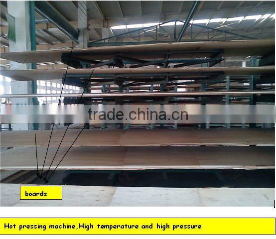 phenolic film faced plywood