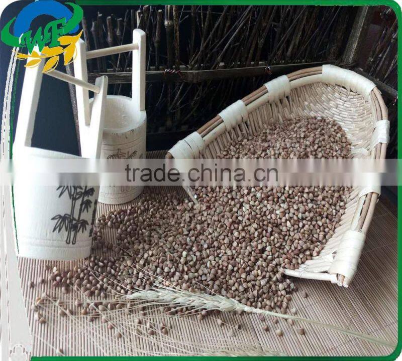 Chinese Roasted Buckwheat Kernel to GEORGIA AND RUSSIAN