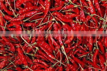 Hot sell Fruit & Vegetable Processing Machinery red chilli dehydrator