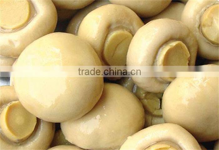 agaricus bisporus/double -spore extract/30%~50% polysaccharide by uv