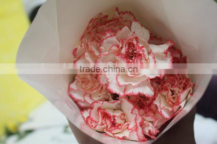 Elegant in smell top sell wedding decorating flower carnation