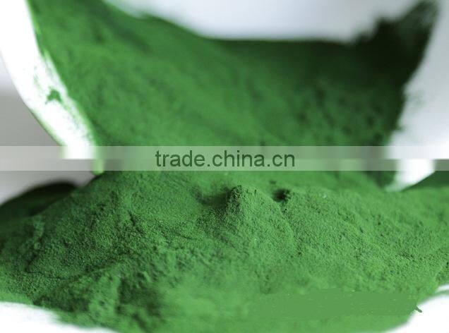 Broken cell chlorella powder in bulk Natural spirulina/chlorella powder Lose weight & keep fit/ Protein 55%