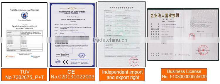 Kids Entertainment Robotic Walking Dinosaur