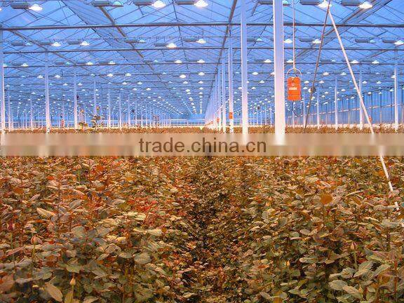 UL,CUL,CE,TUV listed digital electronic ballast 1000w,600w,400w,250w