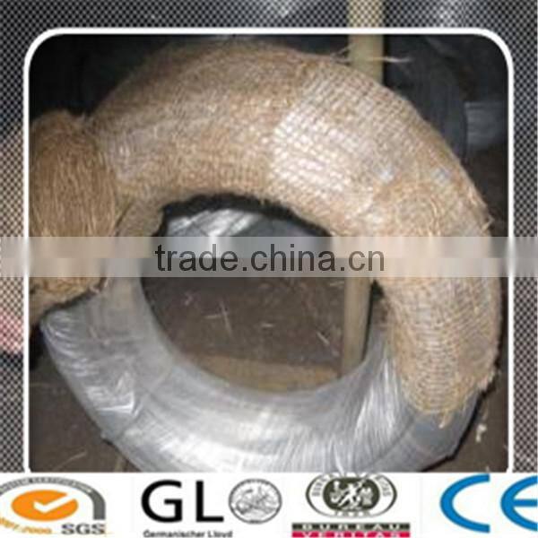 Electro Galvanized Iron Wire/Galvanized Iron Wire for Binding Use