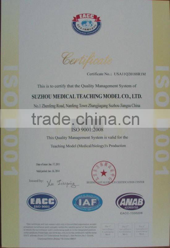 Microslide Microscope Glass Slide