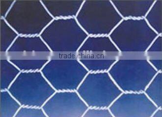 eletric galvanized hexagonal wire mesh