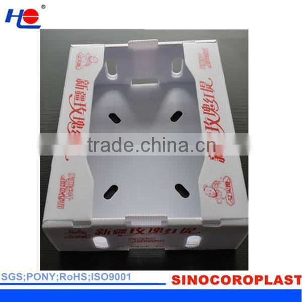 PP Durable Fruit Boxes