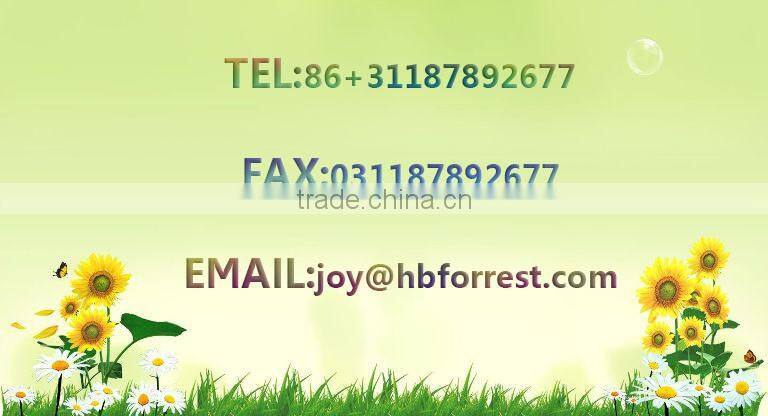 White enamel cast iron roaster rectangular pan/plate