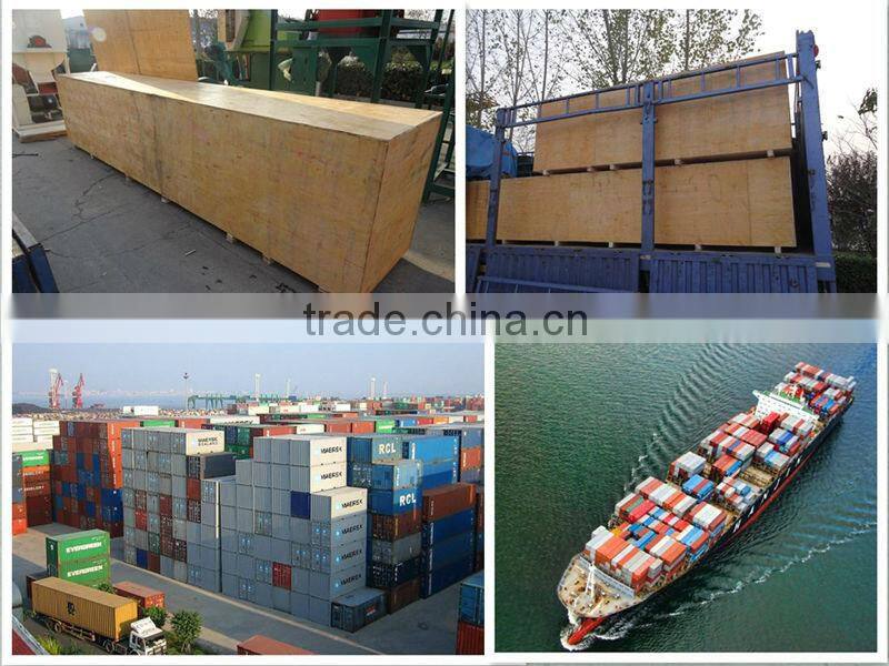 5000 ton flat bottom steel silo for grain storage