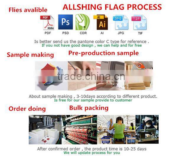 Wholesale 2016 cheapeast promotional car wing mirror cover flag/Car mirror cover flag for 2016 european cup