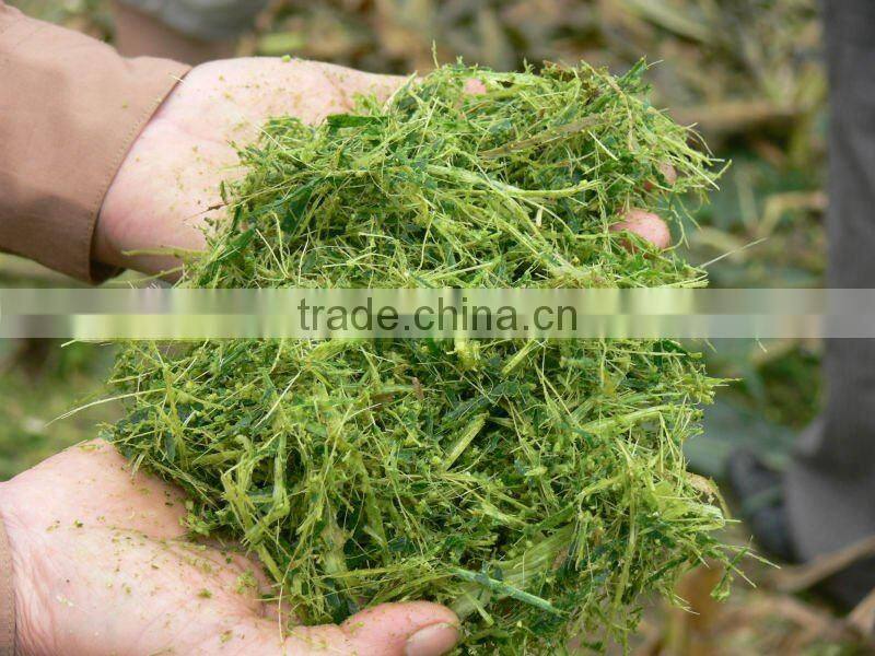 corn silage machine silage harvester from China professional manufacturer