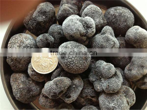 High quality wild black truffle 100% wild truffle for sale