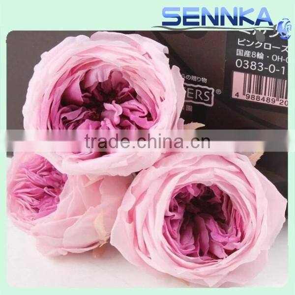 Import China Preserved Flowers Preserved Austin Rose Wholesale