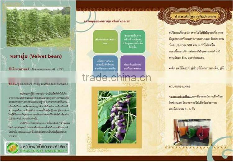 Velvet Bean Seeds Extract L-dopa for health care product