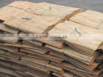 1270 x 1270mm Short Veneer For Making Plywood