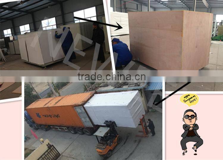 Neweek automatic water pouting alfalfa growing barley bean sprout machine