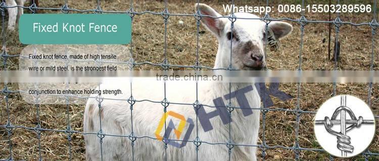 SGS/ISO/BV Factory Horse Field Fence