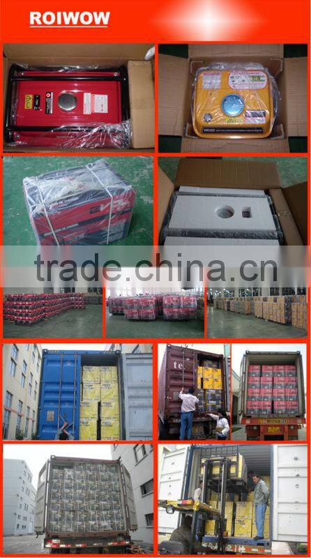 1.0kw electric generator RWGG-31004