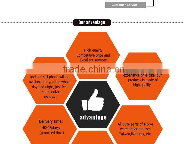 china cheapest folding electric bicycle for sell