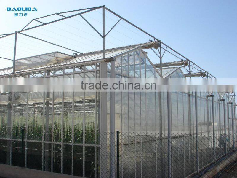 Commercial Flower Vegetable Polycarbonate Greenhouse