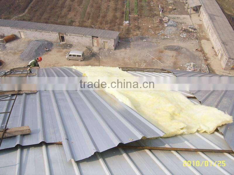 China supplier steel structure bio dome