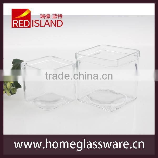 square Clear Glass Vase Flower Pot