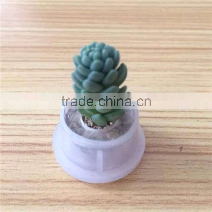 Wholesale Factory Cheap Glass Potted Meaty Cactus Plant Keychain, Super Mini Personal Gift Decorative Keychain Plant Design