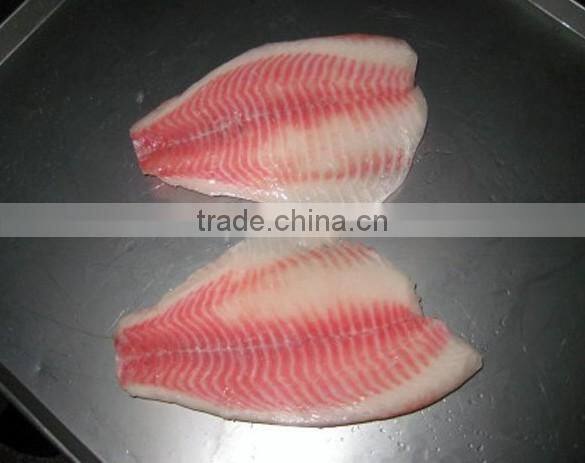 Frozen Tilapia Fillet From Zhejiang of China