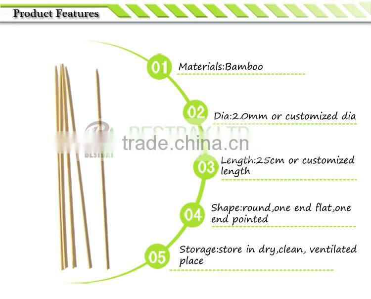 BBQ skewer,rotating bbq skewer for party