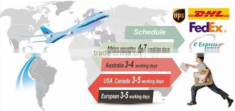 Black Rose Glueless Full Lace Human Hair Wig with Baby Hair