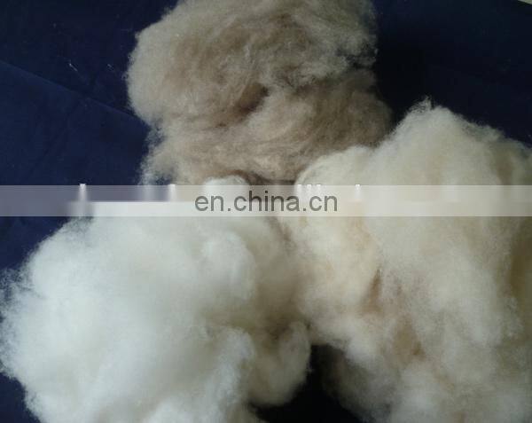 China factory process fine dehaired and combed Cashmere Tops Ivory 16.5mic/44mm