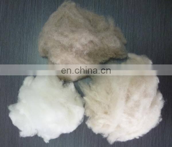 wholesale 100% dehaired cashmere fiber dehaired cashmere tops