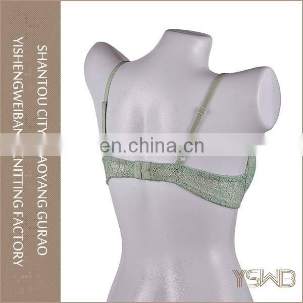 Customized wholesale cheap oem eco free sample ladies stylish sexy bra