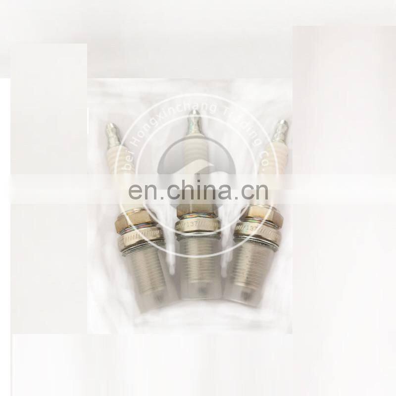 6CT Natural Gas engine parts 4089406 CGE8.3 Auto Spark Plug