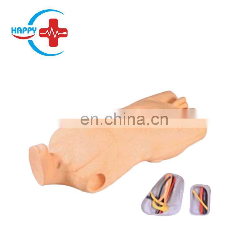 HC-S514 Full-functional Central Venous Injection Training Torso Model/Central Venipuncture Training manikin