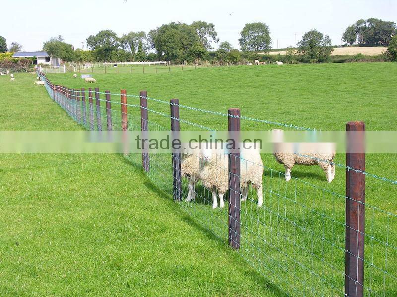 CATTLE FENCE,FIELD FENCE 120/13/15,100m length