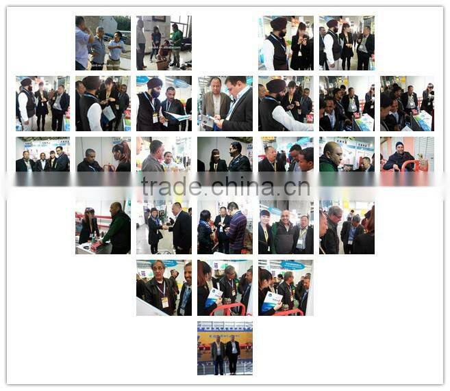 ZLP500 suspended rope platform