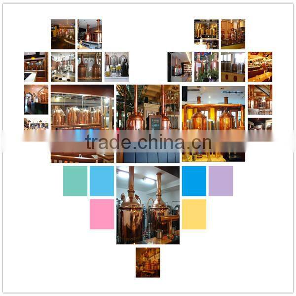 200L/batch small beer brewing equipment,craft beer making equipment