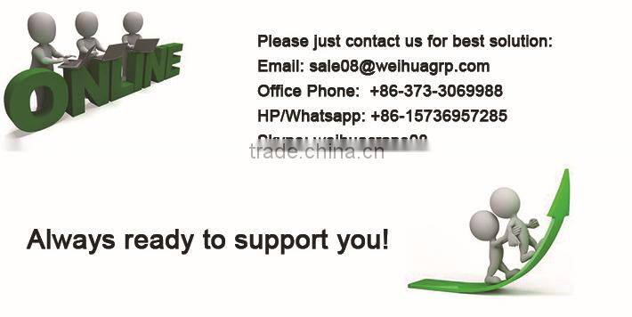 WEIHUA Electric Hoist Crane 5 Ton