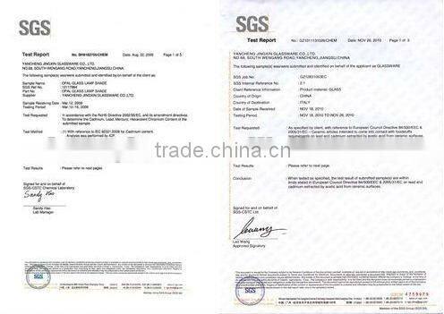 DG310,Double wall glass cup