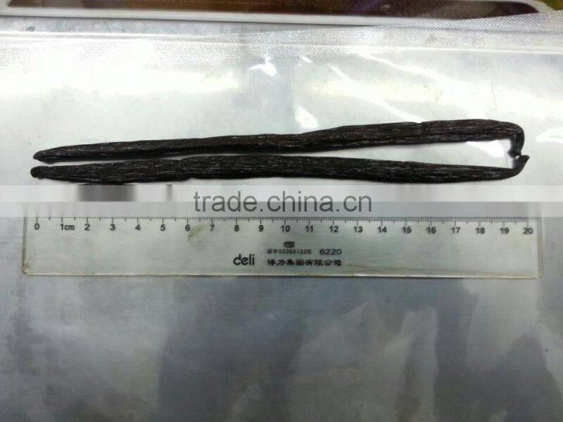 High Class Best Spice Madagascar Vanilla Bean